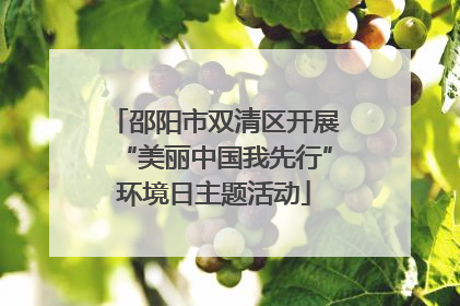 邵阳市双清区开展“美丽中国我先行”环境日主题活动