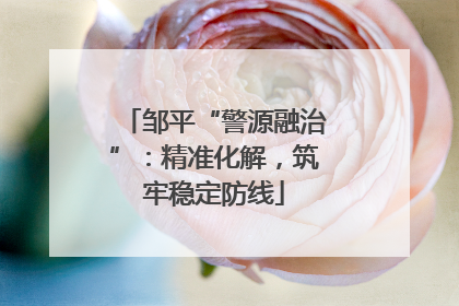 邹平“警源融治”：精准化解，筑牢稳定防线