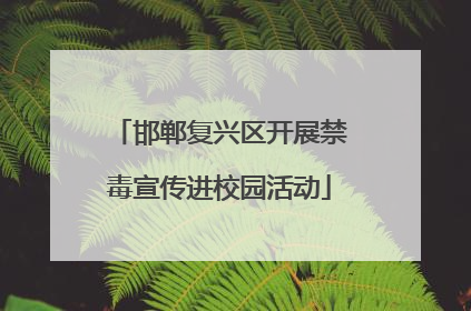 邯郸复兴区开展禁毒宣传进校园活动