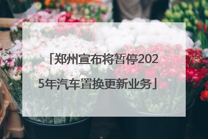 郑州宣布将暂停2025年汽车置换更新业务