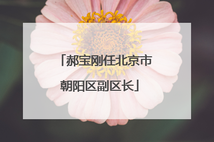 郝宝刚任北京市朝阳区副区长