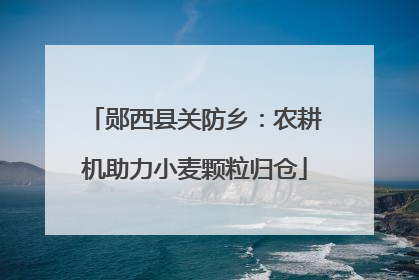 郧西县关防乡：农耕机助力小麦颗粒归仓
