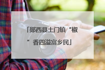 郧西县土门镇“椒”香四溢富乡民
