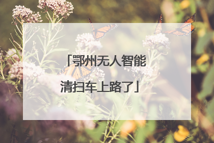 鄂州无人智能清扫车上路了