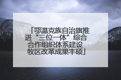 鄂温克族自治旗推进“三位一体”综合合作组织体系建设 牧区改革成果丰硕