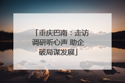 重庆巴南：走访调研听心声 助企破局谋发展