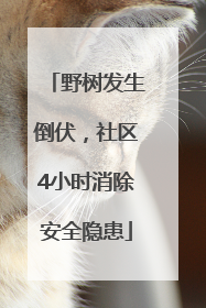 野树发生倒伏，社区4小时消除安全隐患