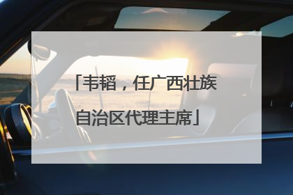 韦韬，任广西壮族自治区代理主席