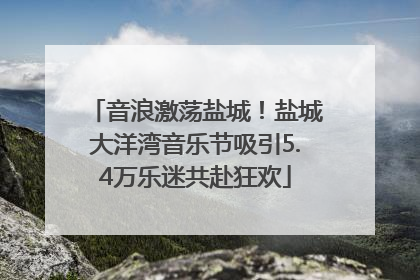 音浪激荡盐城！盐城大洋湾音乐节吸引5.4万乐迷共赴狂欢