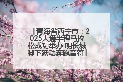 青海省西宁市：2025大通半程马拉松成功举办 明长城脚下跃动奔跑音符