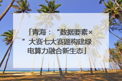 青海：“数据要素×”大赛七大赛题构建绿电算力融合新生态