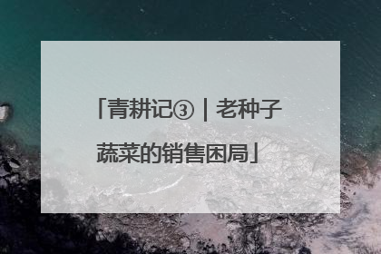 青耕记③｜老种子蔬菜的销售困局