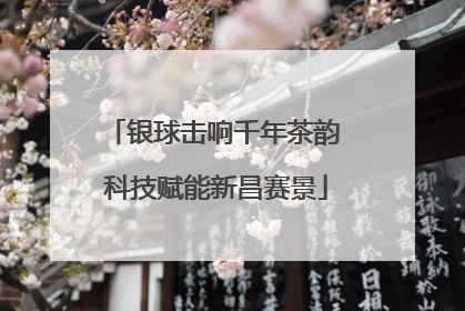 银球击响千年茶韵 科技赋能新昌赛景