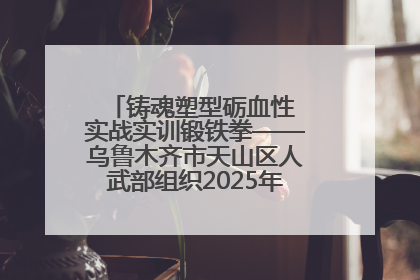 铸魂塑型砺血性 实战实训锻铁拳——乌鲁木齐市天山区人武部组织2025年度民兵集中轮训