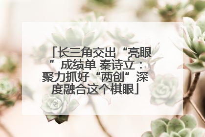 长三角交出“亮眼”成绩单 秦诗立：聚力抓好“两创”深度融合这个棋眼
