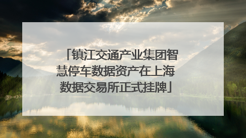 镇江交通产业集团智慧停车数据资产在上海数据交易所正式挂牌