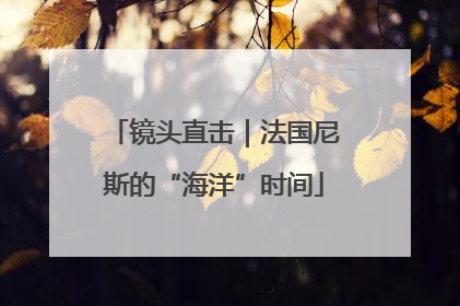 镜头直击｜法国尼斯的“海洋”时间