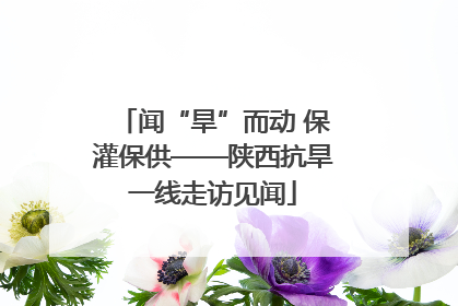 闻“旱”而动 保灌保供——陕西抗旱一线走访见闻