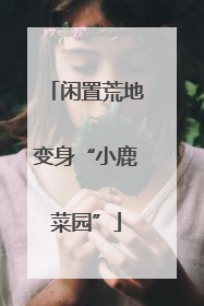 闲置荒地变身“小鹿菜园”