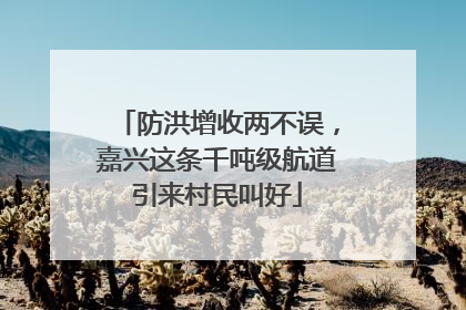 防洪增收两不误，嘉兴这条千吨级航道引来村民叫好