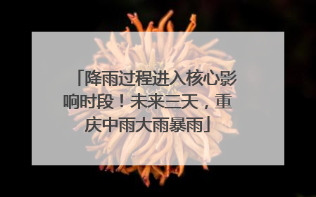 降雨过程进入核心影响时段！未来三天，重庆中雨大雨暴雨