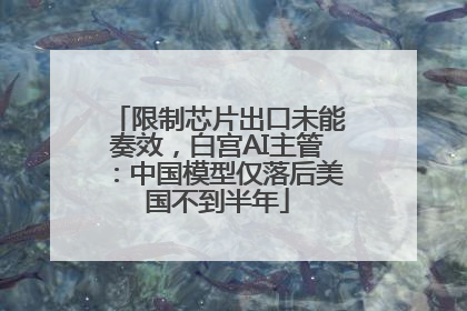 限制芯片出口未能奏效，白宫AI主管：中国模型仅落后美国不到半年