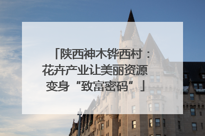 陕西神木铧西村：花卉产业让美丽资源变身“致富密码”