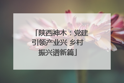 陕西神木：党建引领产业兴 乡村振兴谱新篇
