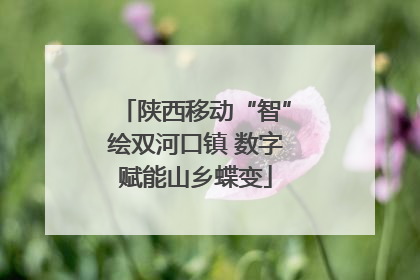 陕西移动“智”绘双河口镇 数字赋能山乡蝶变