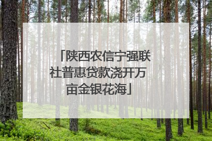 陕西农信宁强联社普惠贷款浇开万亩金银花海