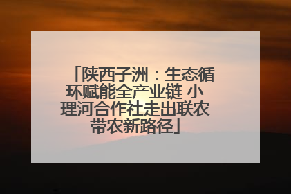 陕西子洲：生态循环赋能全产业链 小理河合作社走出联农带农新路径