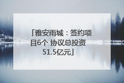 雅安雨城：签约项目6个 协议总投资51.5亿元