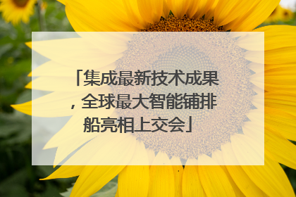 集成最新技术成果，全球最大智能铺排船亮相上交会