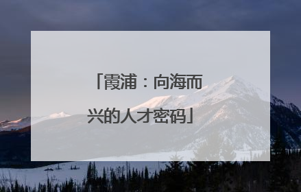 霞浦：向海而兴的人才密码