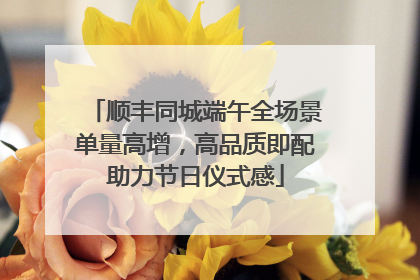 顺丰同城端午全场景单量高增，高品质即配助力节日仪式感