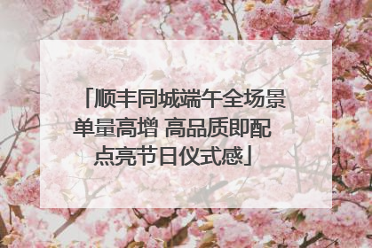 顺丰同城端午全场景单量高增 高品质即配点亮节日仪式感