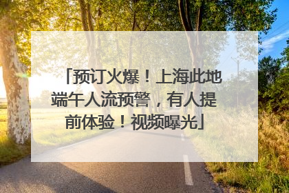 预订火爆！上海此地端午人流预警，有人提前体验！视频曝光