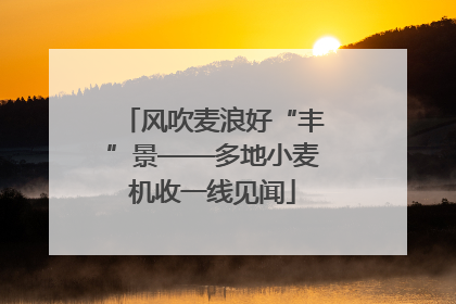 风吹麦浪好“丰”景——多地小麦机收一线见闻