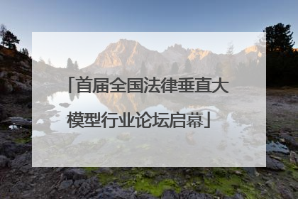 首届全国法律垂直大模型行业论坛启幕