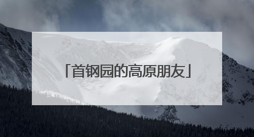 首钢园的高原朋友