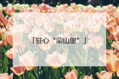 驻心“蒙山里”