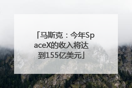 马斯克：今年SpaceX的收入将达到155亿美元