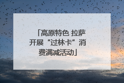 高原特色 拉萨开展“过林卡”消费满减活动