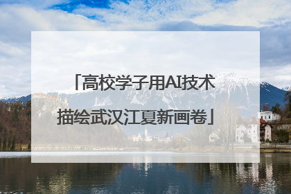 高校学子用AI技术描绘武汉江夏新画卷