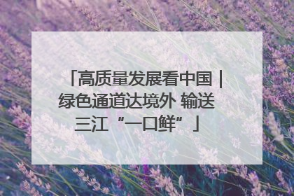 高质量发展看中国｜绿色通道达境外 输送三江“一口鲜”