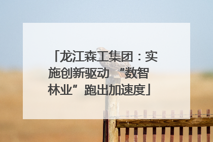 龙江森工集团：实施创新驱动 “数智林业”跑出加速度