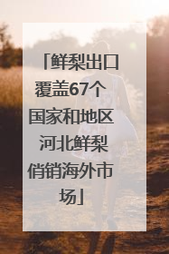 鲜梨出口覆盖67个国家和地区 河北鲜梨俏销海外市场
