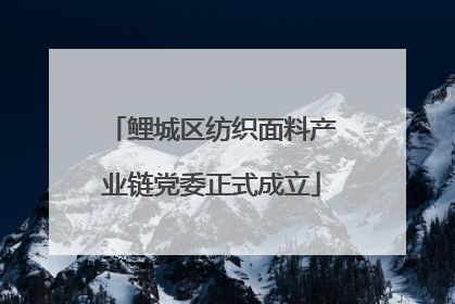 鲤城区纺织面料产业链党委正式成立