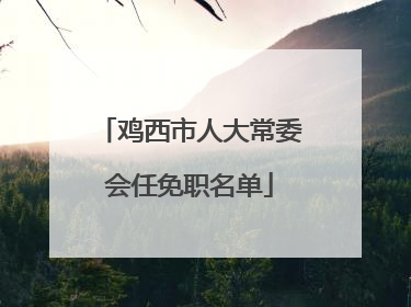 鸡西市人大常委会任免职名单
