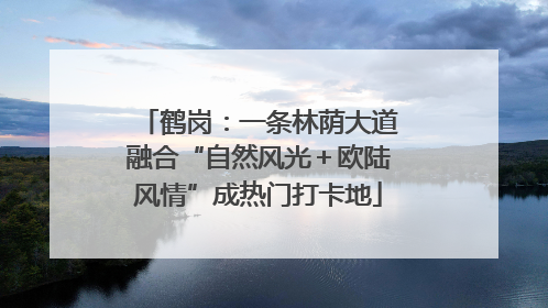 鹤岗：一条林荫大道融合“自然风光＋欧陆风情”成热门打卡地